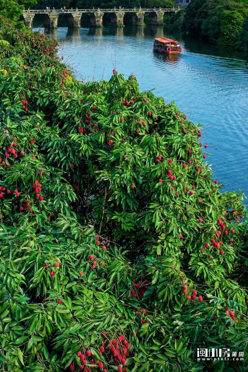 1768911029978729.jpeg 1.jpeg